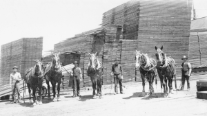 Oregon City Floods by Clackamas County Historical Society | Arcadia ...