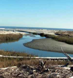 Exploring Bull Island: Sailing and Walking Around a South Carolina Sea 